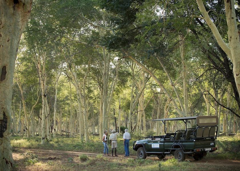 Limpopo Mutale Property Grounds