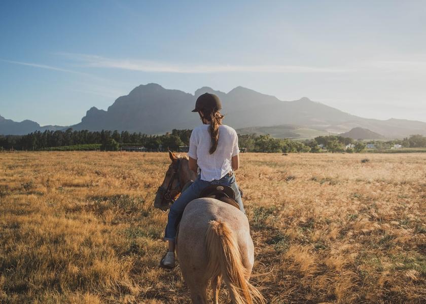 Western Cape Franschhoek Horseback riding