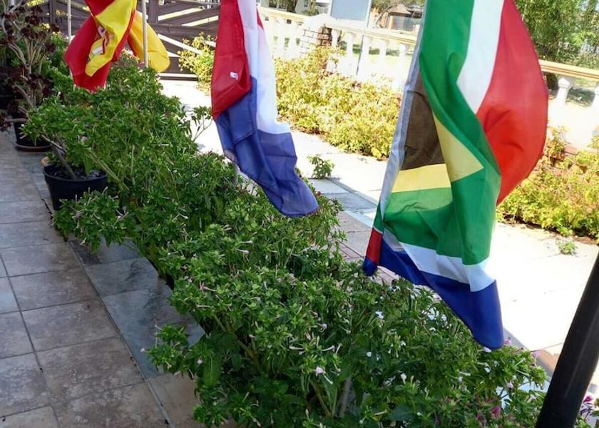 Western Cape Cape Town Terrace