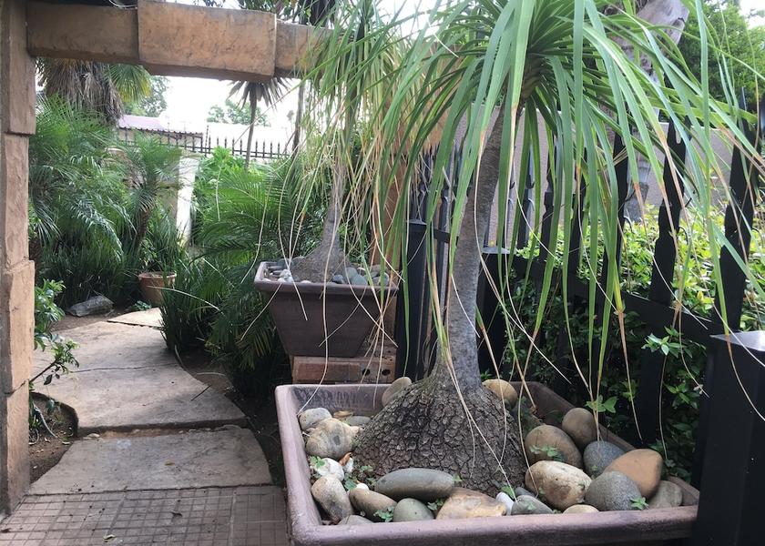 Gauteng Johannesburg Interior Entrance