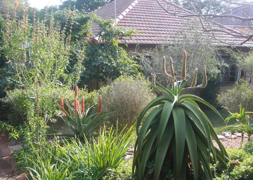 KwaZulu-Natal Durban Garden