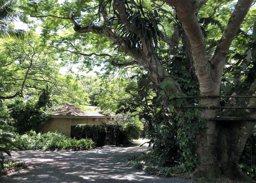 KwaZulu-Natal St. Lucia BBQ/picnic area