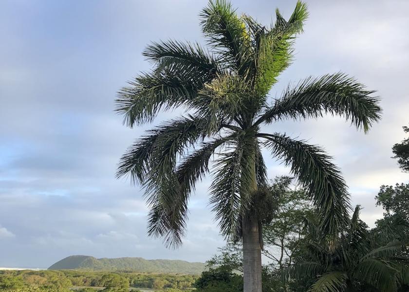 KwaZulu-Natal St. Lucia Exterior