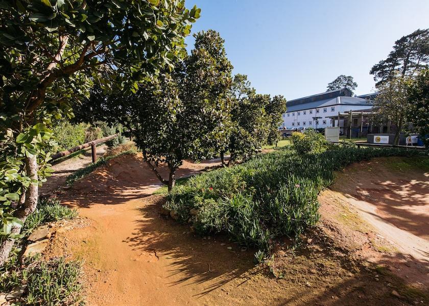 Western Cape Grabouw Garden