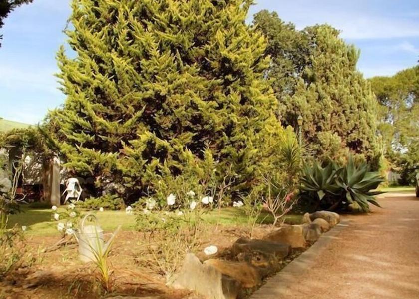 Western Cape Riversdale Property Grounds