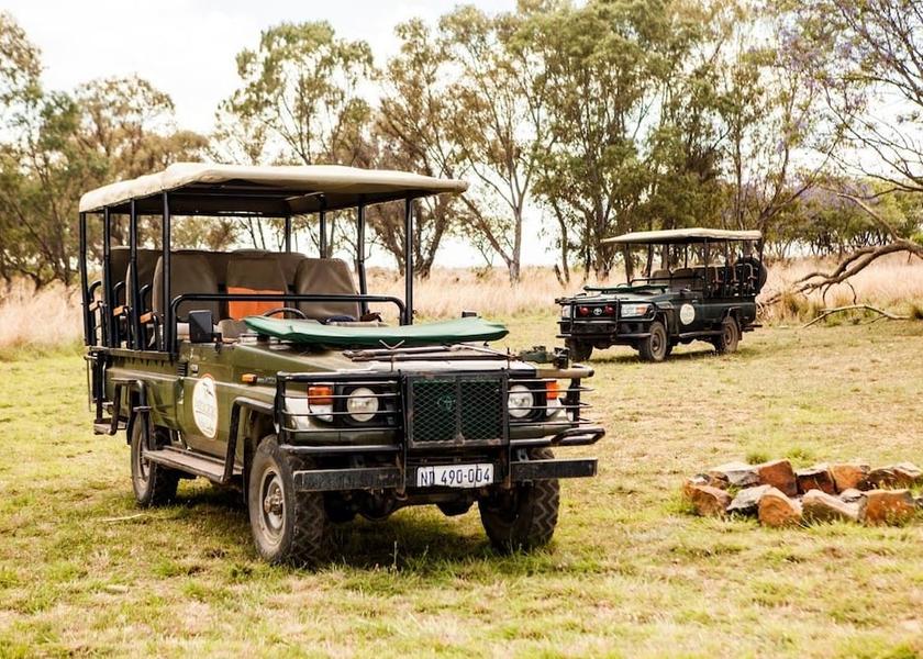 KwaZulu-Natal Ladysmith Safari