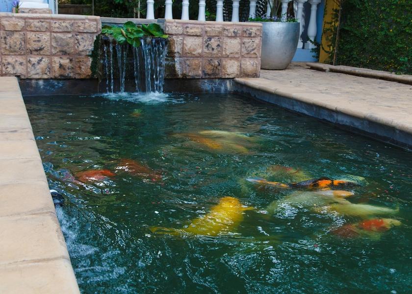 Gauteng Pretoria Exterior Detail