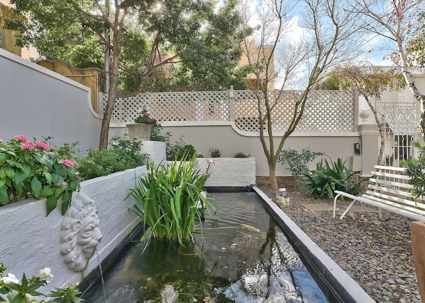 Western Cape Cape Town Garden