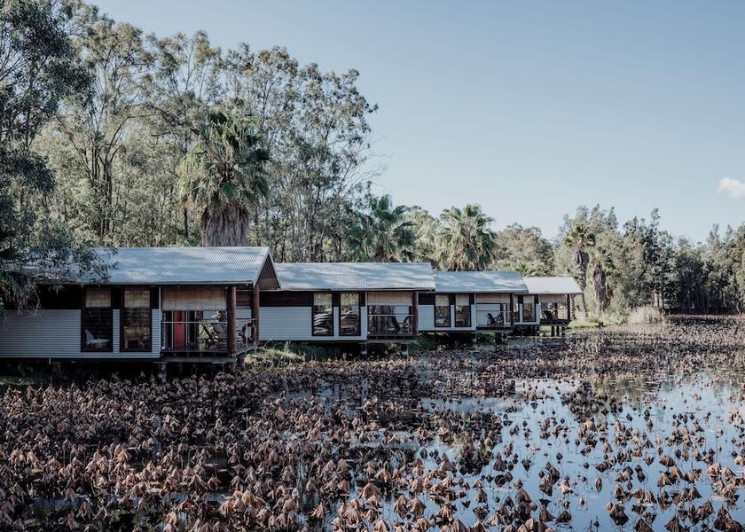 New South Wales Lovedale Exterior