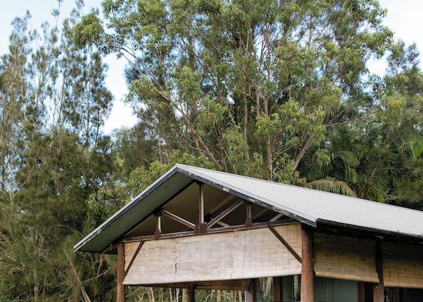 New South Wales Lovedale Exterior