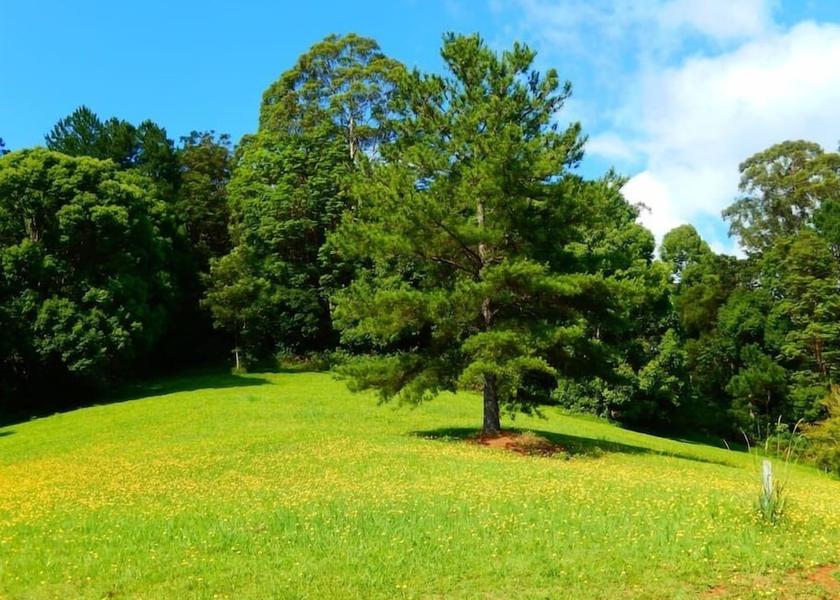 New South Wales Repentance Creek Property Grounds
