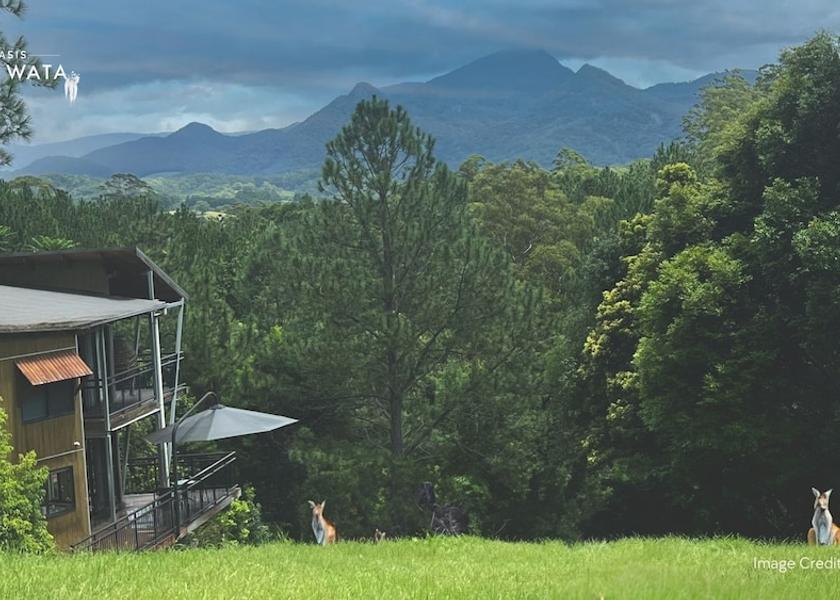 New South Wales Smiths Creek View from Property