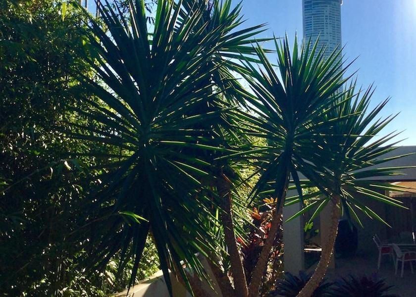 Queensland Surfers Paradise In-Room Amenity