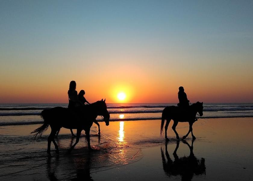West Nusa Tenggara Gili Trawangan Horseback riding