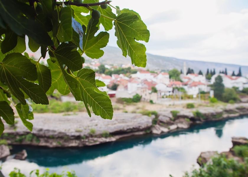 Herzegovina-Neretva Canton Mostar View from Property