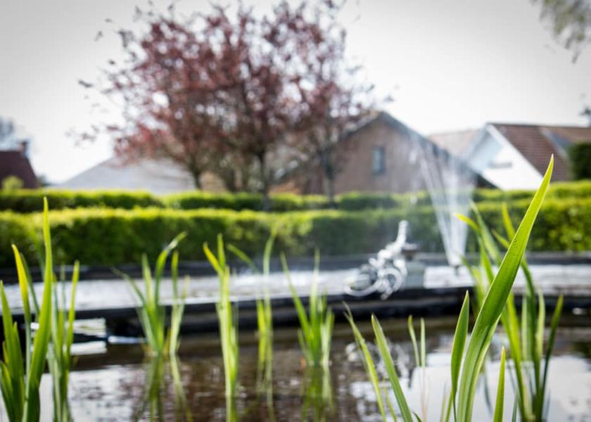 Flemish Region De Haan Garden