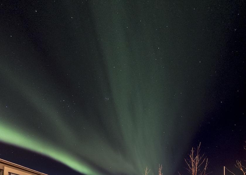 Southern Peninsula Reykjanesbær Garden