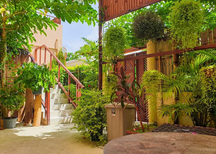 South Ari Atoll Omadhoo Garden