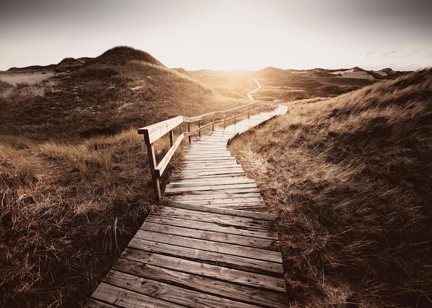 North Holland Bloemendaal Beach