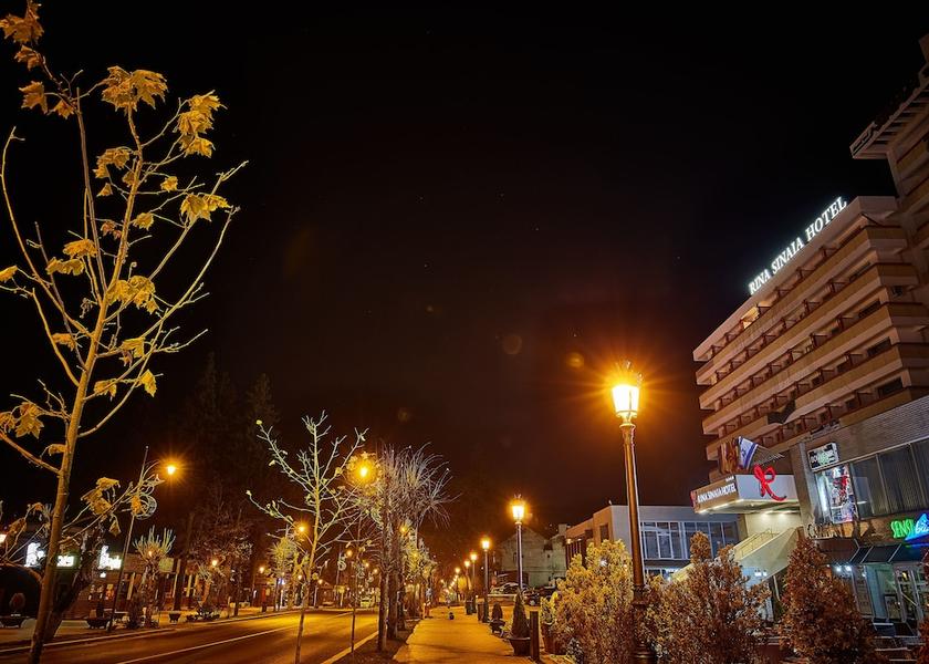  Sinaia View from Property