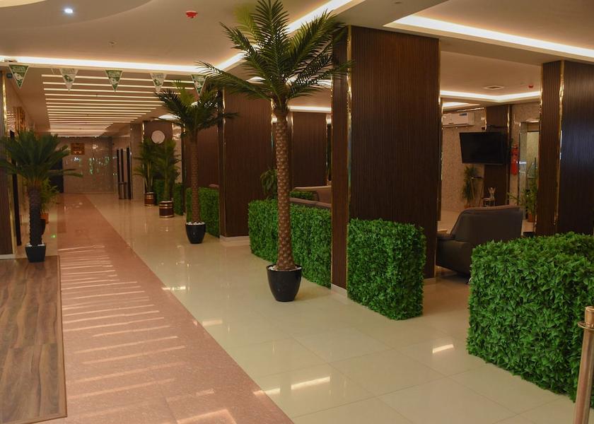 'Asir Nejran Reception