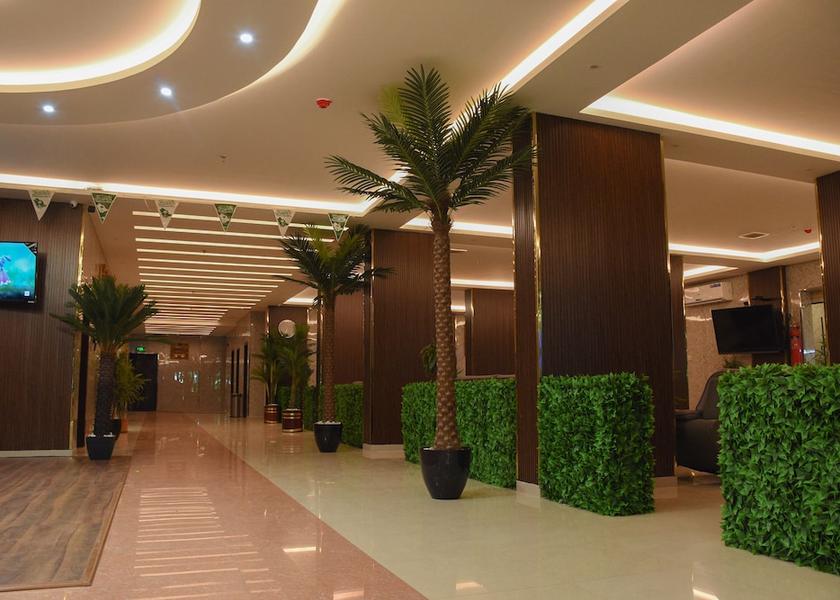 'Asir Nejran Reception