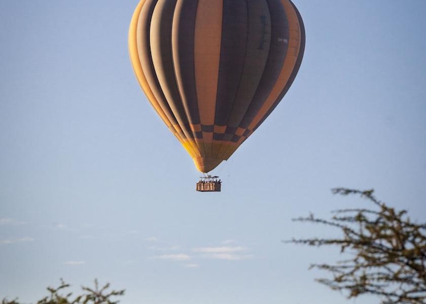  Sinoni Exterior Detail