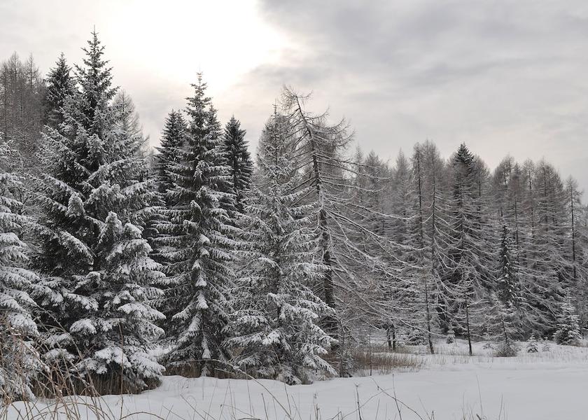 Trentino-Alto Adige Predazzo View from Property