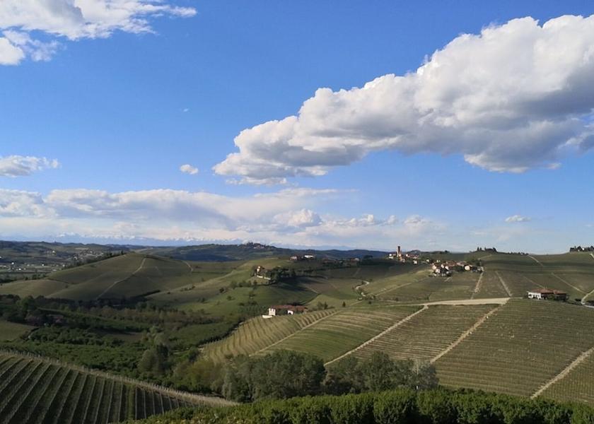 Piedmont Barbaresco Aerial View