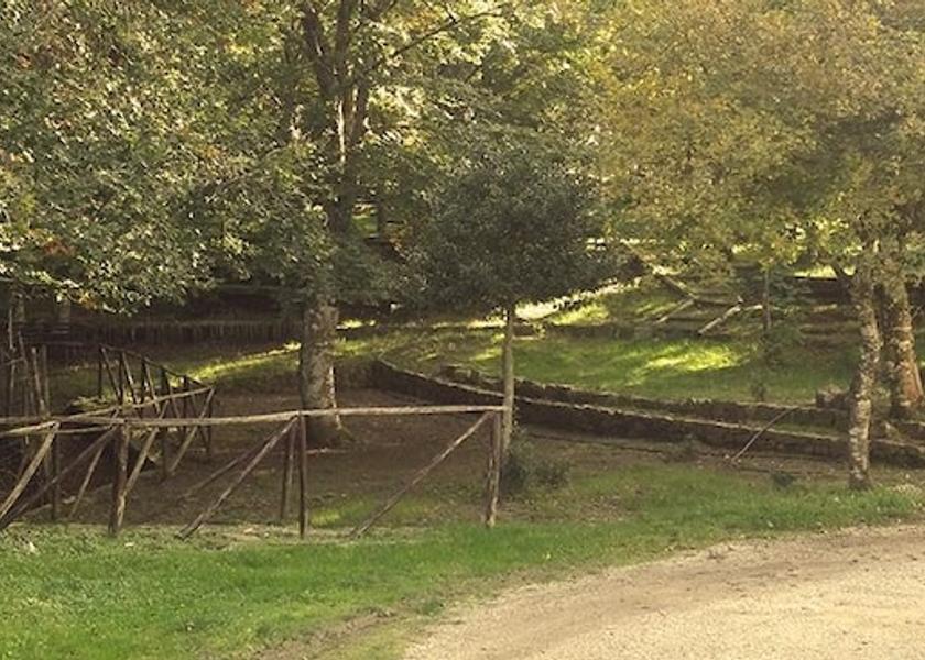 Sicily San Fratello Property Grounds