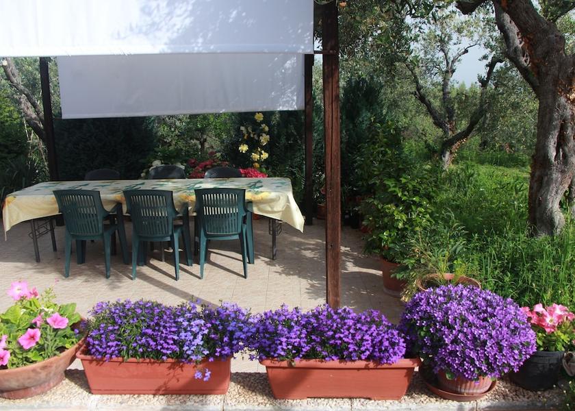 Lazio Monte Porzio Catone Terrace