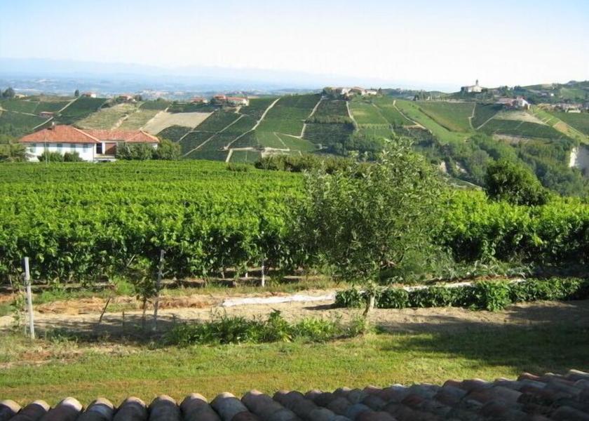 Piedmont Santo Stefano Belbo Property Grounds