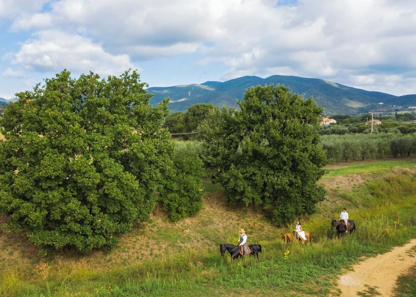 Tuscany Castiglione della Pescaia Horseback riding