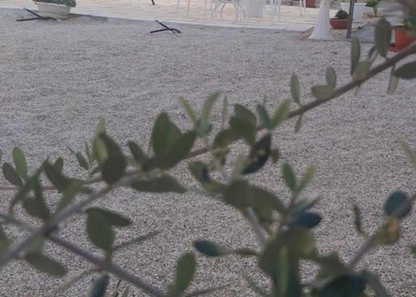 Puglia Racale Exterior Detail
