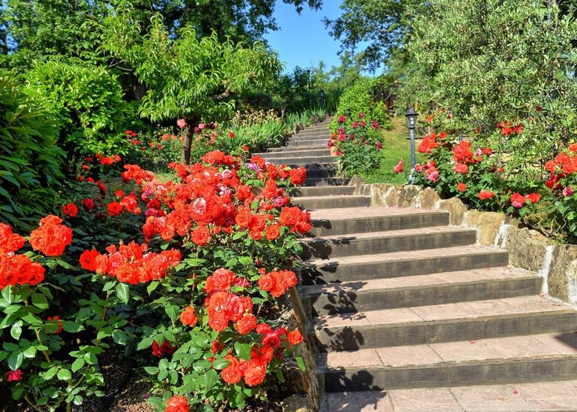 Tuscany Monterchi Garden