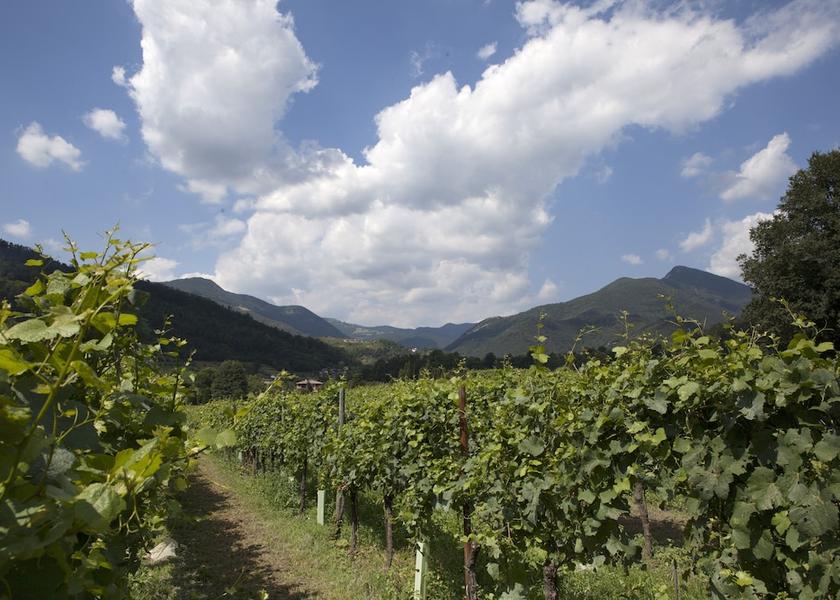 Lombardy Villongo View from Property