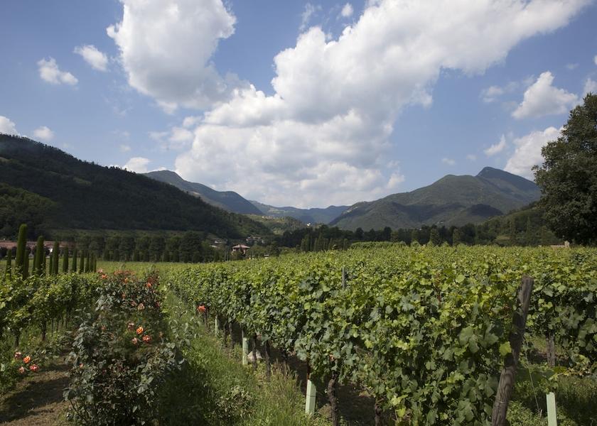 Lombardy Villongo View from Property