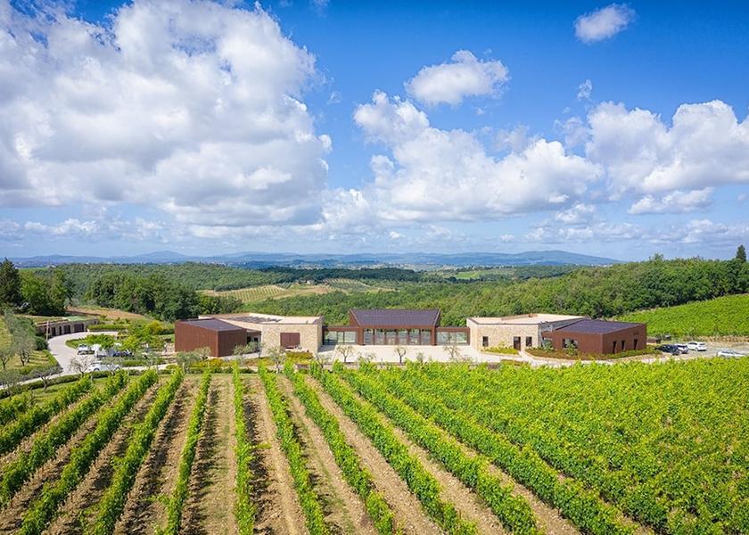Tuscany Castelnuovo Berardenga Vineyard