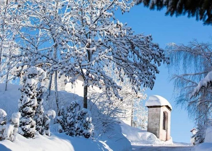 Trentino-Alto Adige Andalo Property Grounds