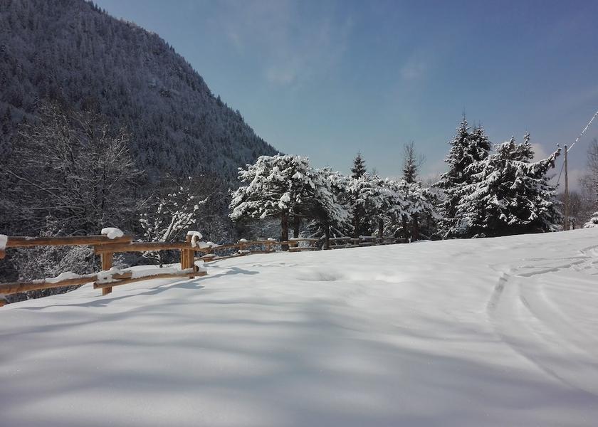 Lombardy Roncobello Mountain View
