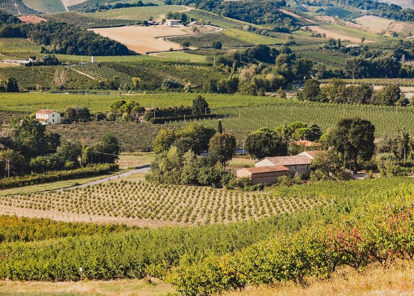 Emilia-Romagna Dovadola Winery