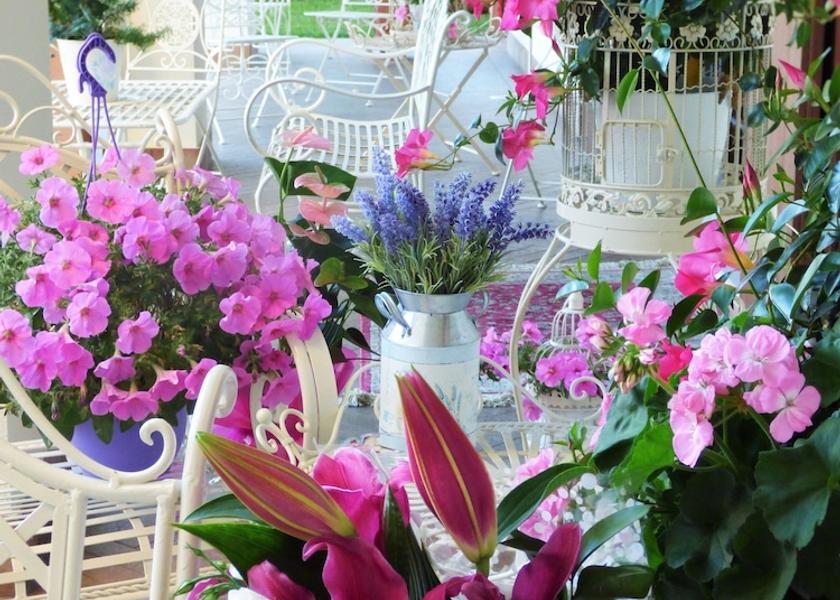 Emilia-Romagna San Giovanni in Persiceto Children's Play Area