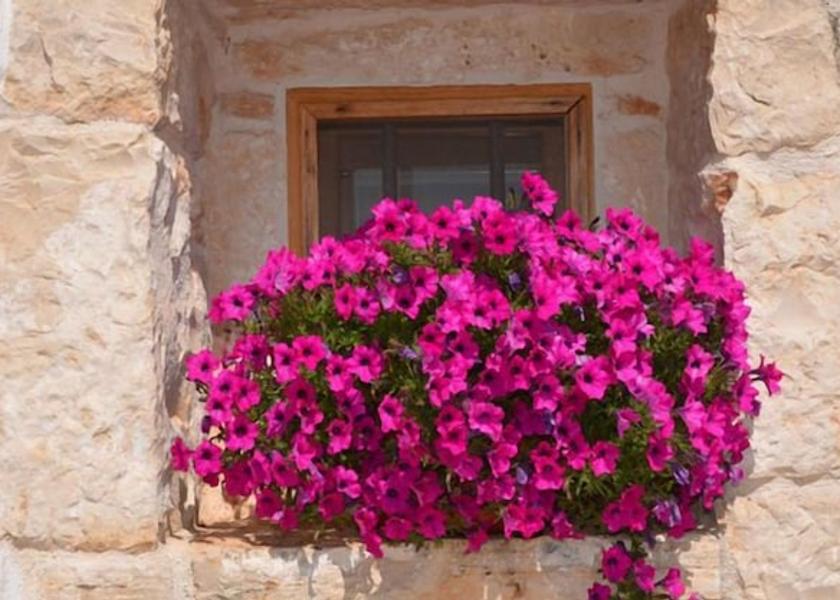 Puglia Putignano Exterior Detail