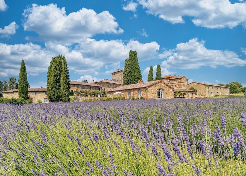 Tuscany Castelnuovo Berardenga Garden