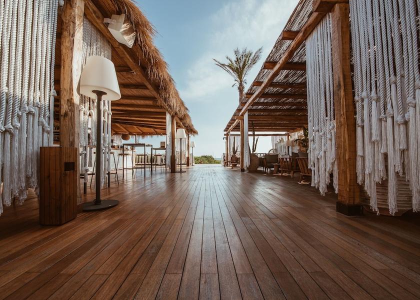 Campania Cellole Primary image