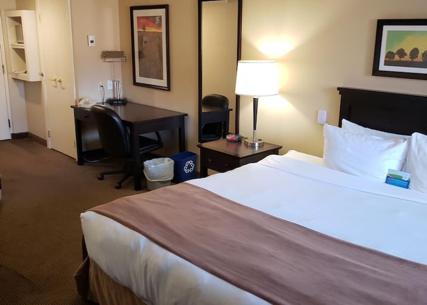 Alberta Red Deer Room