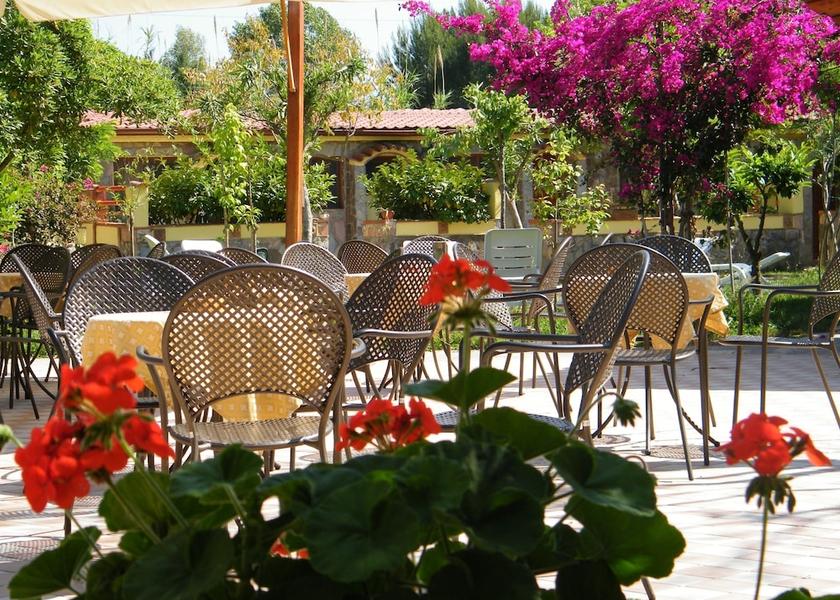 Campania Centola Primary image