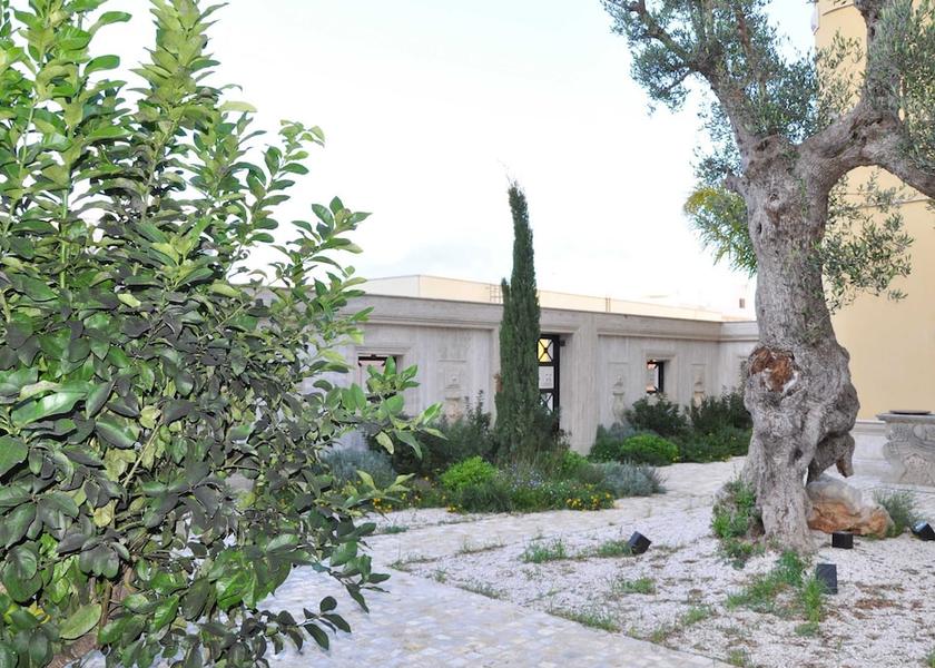 Puglia Manduria View From Room