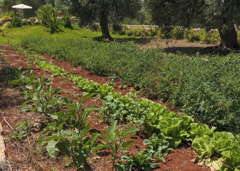 Puglia Casarano Garden