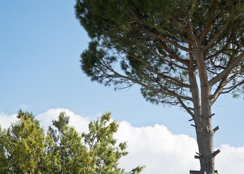 Puglia Castellana Grotte Bicycling